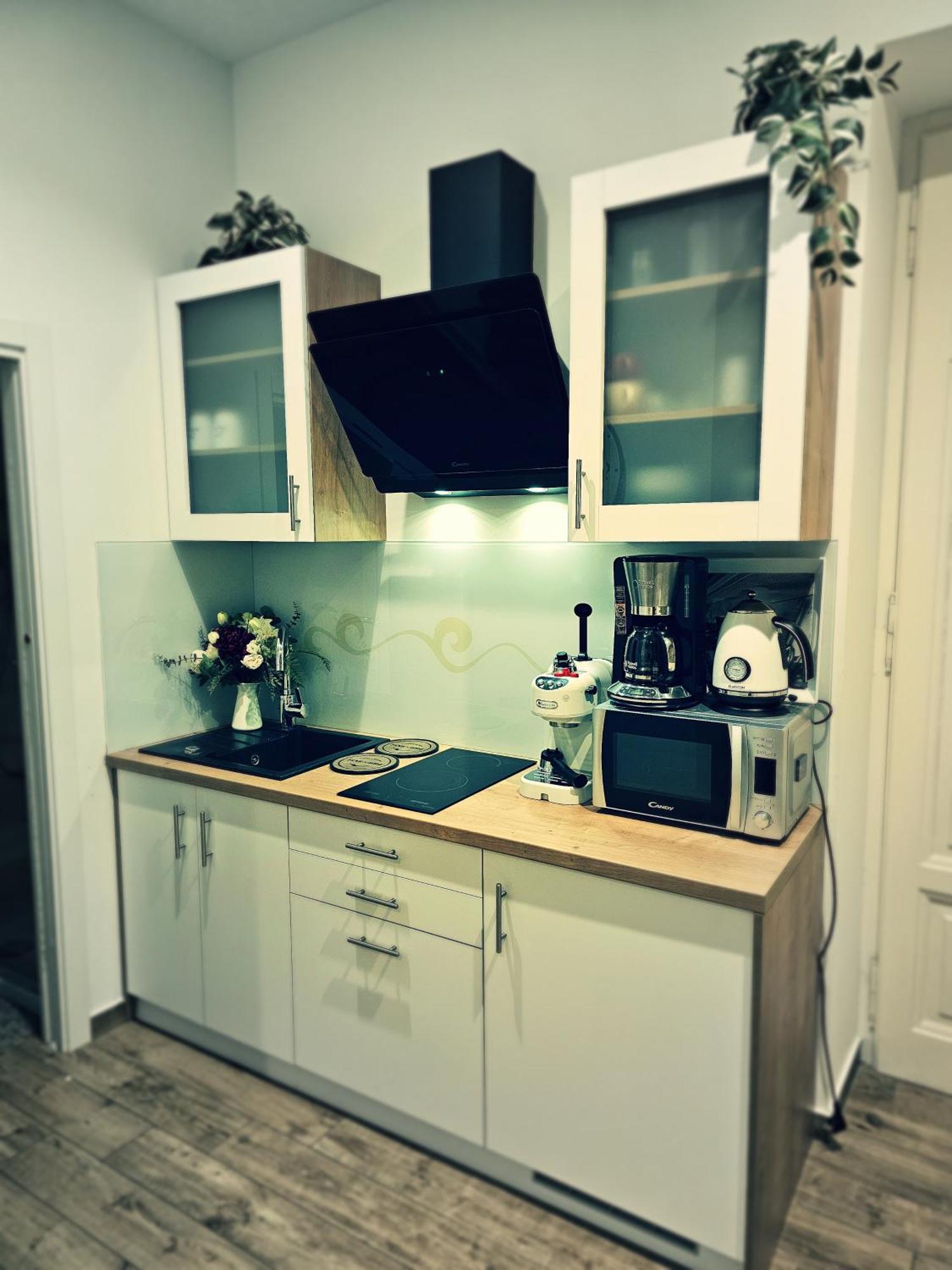 Studio Apartman Villa Gianna Lovran Eksteriør billede