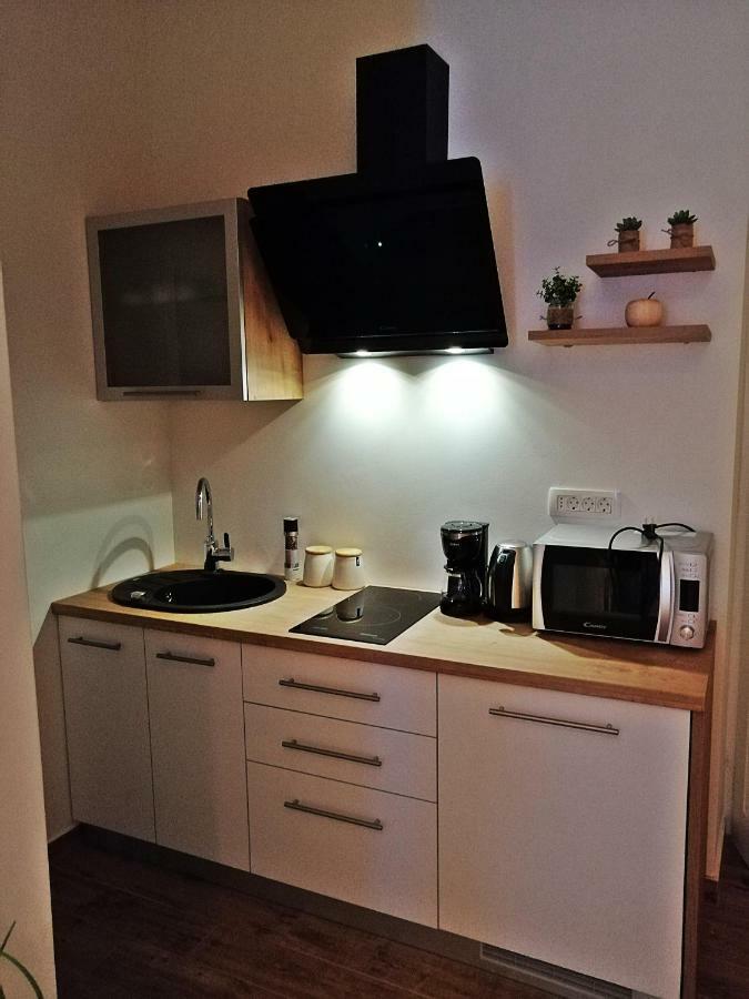 Studio Apartman Villa Gianna Lovran Eksteriør billede